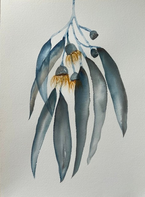 Natives Watercolour Workshop  Saturday 8th July  10am - 2pm   FULL