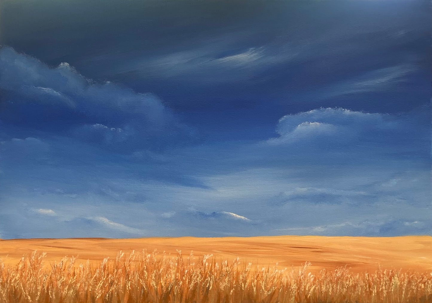 Clouds 0ver Wheat Fields