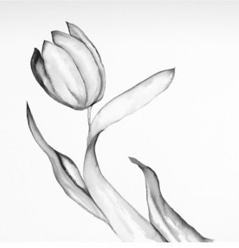 1 Tulip Black & White