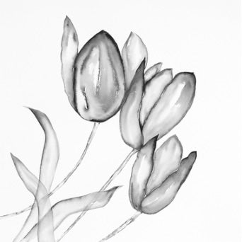 3 Tulips Black & White