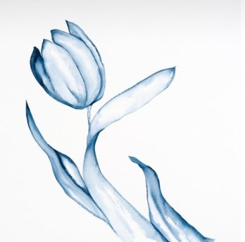 1 Tulip