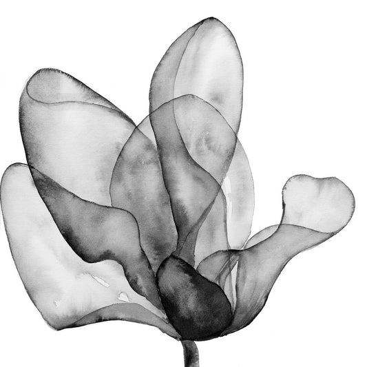 Dancing Bud Black & White