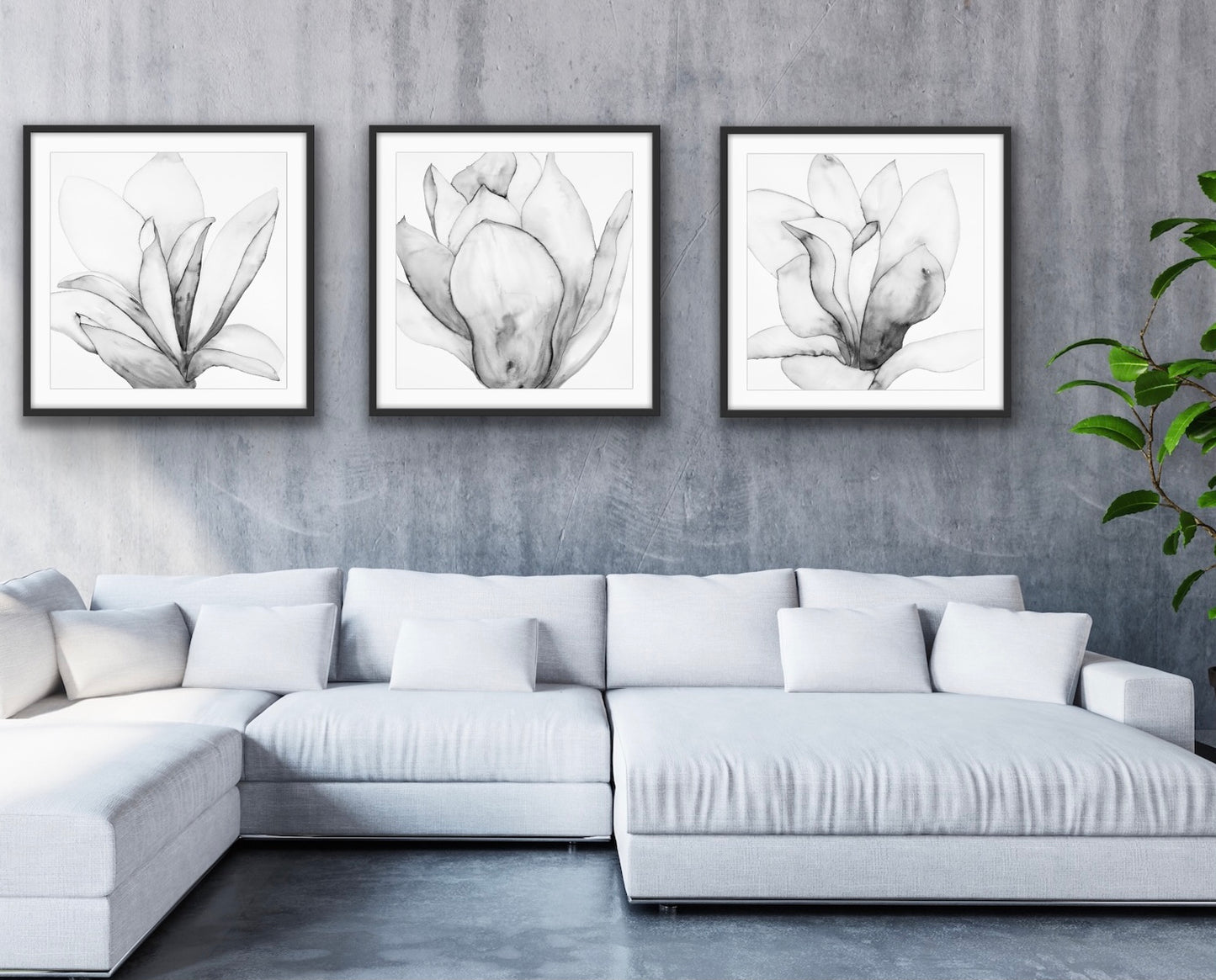 San Jose Magnolia ll Black & White