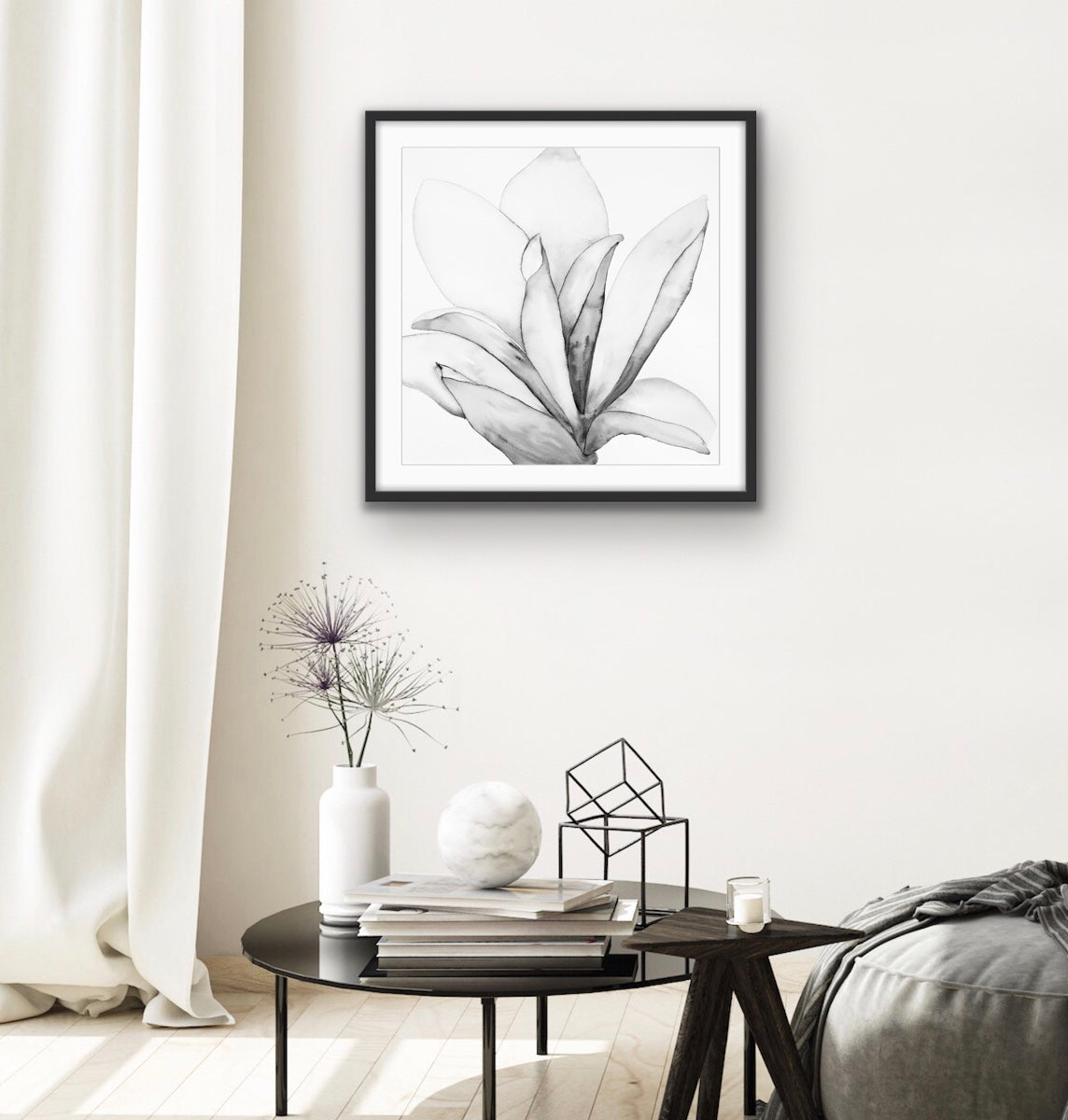 San Jose Magnolia lll Black & White