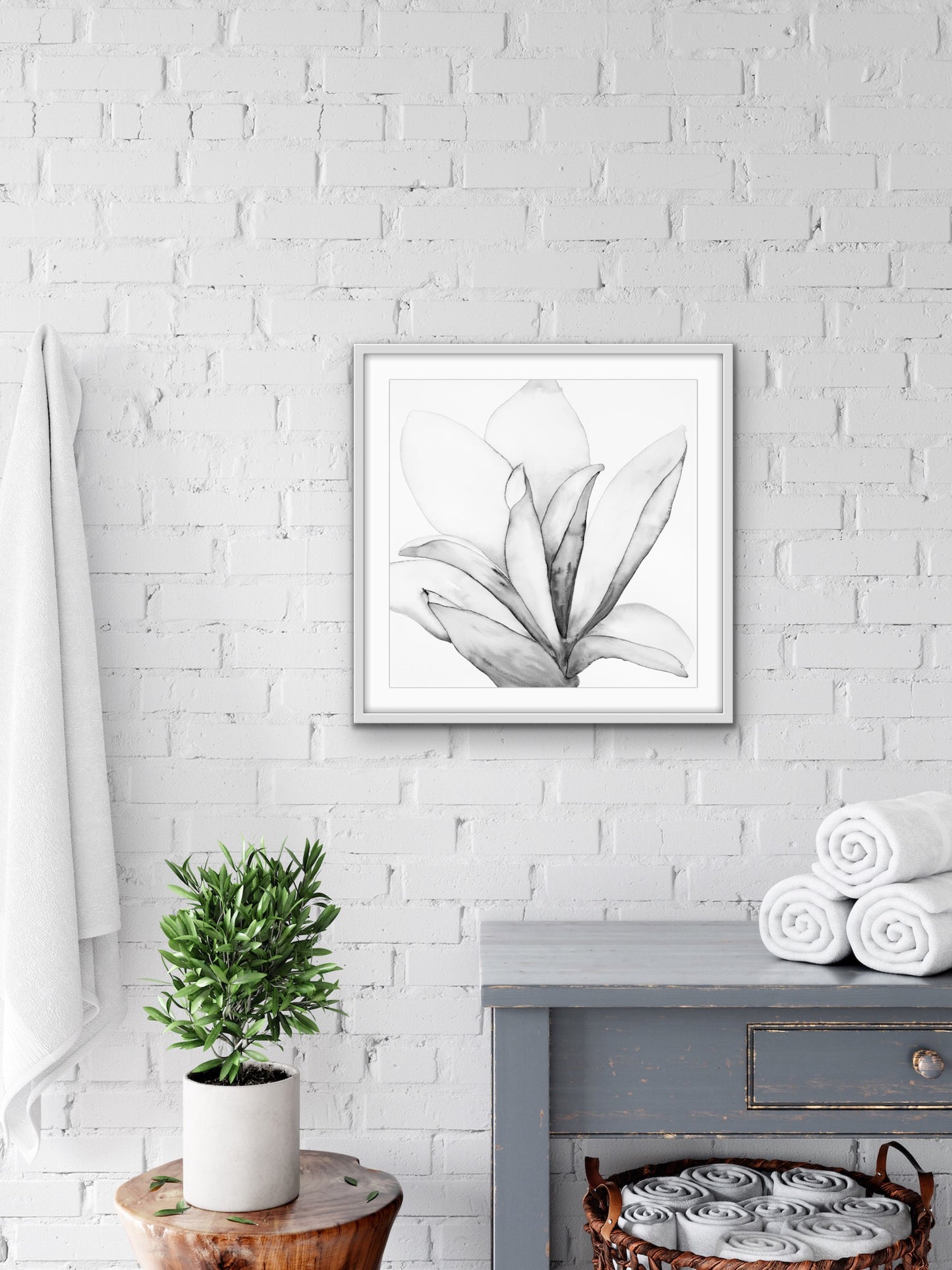 San Jose Magnolia lll Black & White