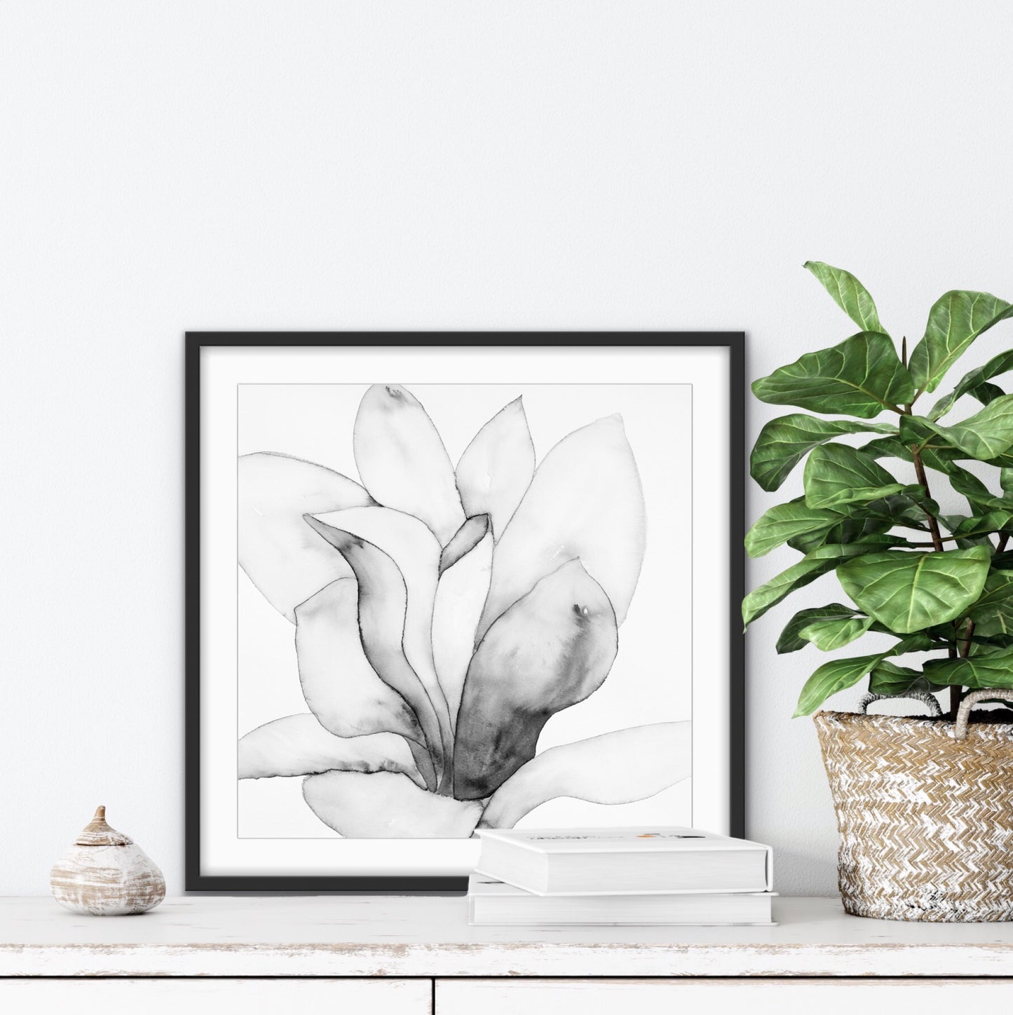 San Jose Magnolia I Black & White