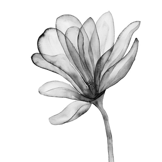 Single Stem Black & White