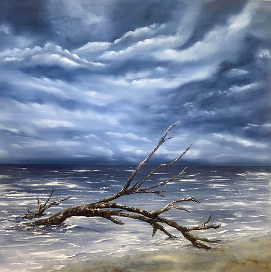 Driftwood