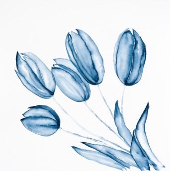 5 Tulips